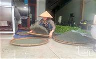 Nhận diện những thủ đoạn lợi dụng thương hiệu 'chè Thái Nguyên' để lừa đảo - Kỳ 2: Bảo vệ danh tiếng, thương hiệu chè