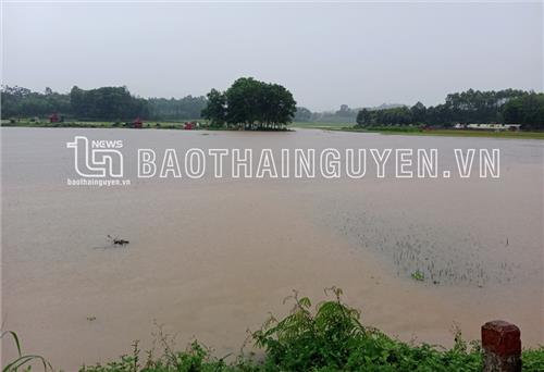 Thái Nguyên: Mưa lớn tiếp tục gây thiệt hại ở nhiều địa phương