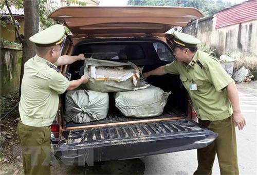 Thu giữ 400kg nầm lợn nhập lậu không đảm bảo vệ sinh thực phẩm