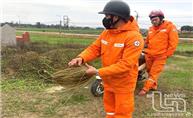 Hiểm họa từ thú chơi thả diều