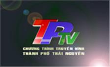 Truyền hình ngày 29.10.2022
