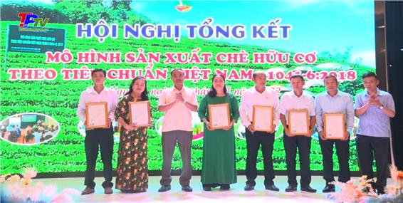 Tổng kết sau 3 năm triển khai mô hình sản xuất chè hữu cơ theo chuẩn Việt Nam.