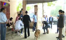 Thành phố Thái Nguyên: Tích cực triển khai tiêm Vắc xin phòng dại cho đàn chó, mèo.