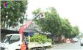 Điện lực thành phố Thái Nguyên: Ra quân phát quang hành lang lưới điện cao áp.