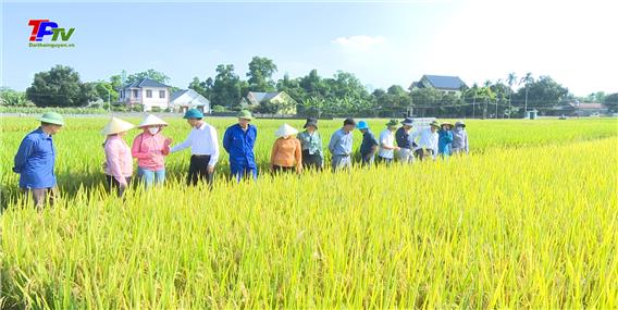 Đánh giá kết quả thực hiện mô hình 