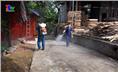 Phòng chống bệnh truyền nhiễm dựa vào cộng đồng