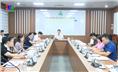 Triển khai cuộc thi trực tuyến 