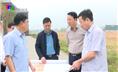 Tập trung đẩy nhanh tiến độ công tác bồi thường, GPMB một số dự án khu dân cư.