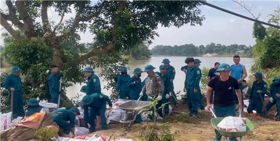 Phường Phan Đình Phùng: Gia cố lại đoạn đê bối xung yếu.