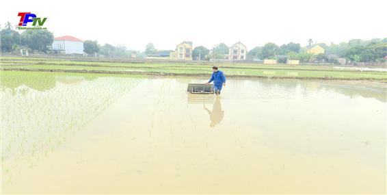 Triển khai mô hình sản xuất lúa hữu cơ quy mô 34 ha.