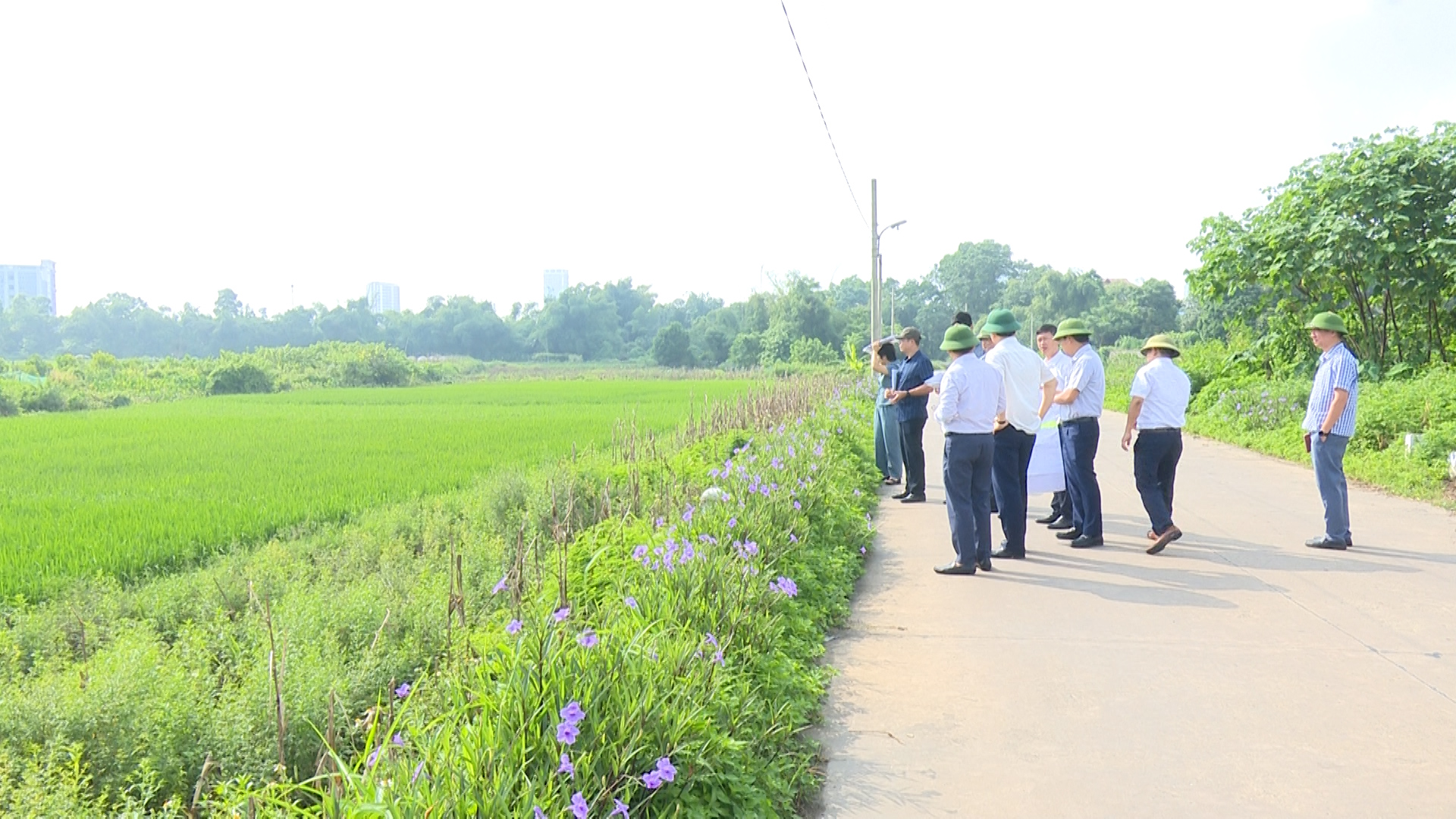 Đồng chí Bí thư Thành ủy đi kiểm tra tiến độ triển khai dự án Cầu Quang Vinh 1, cầu Quang Vinh 2.