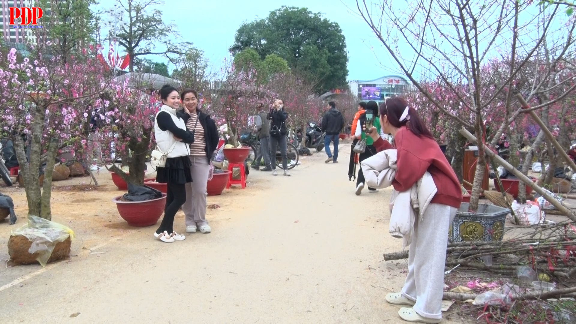 Sắc xuân rộn ràng tại Chợ Hoa, Chợ Tết Nguyên đán Bính Ngọ 2026 phường Phan Đình Phùng, tỉnh Thái Nguyên
