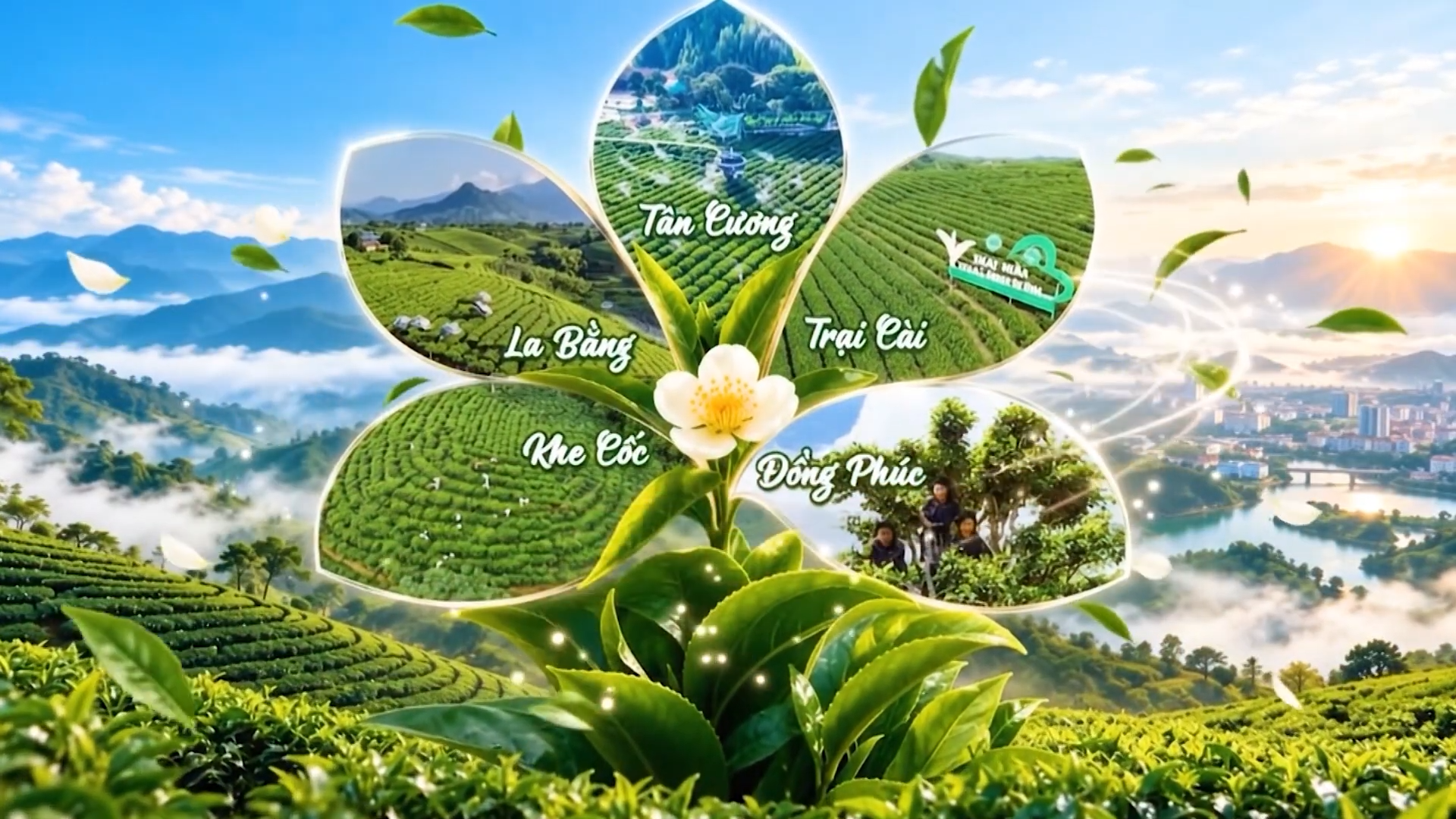 Thái Nguyên thủ phủ Chè Việt Nam