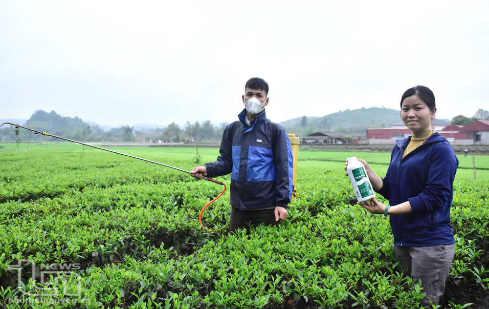 Hỗ trợ nông dân tiếp cận, sử dụng phân bón hữu cơ