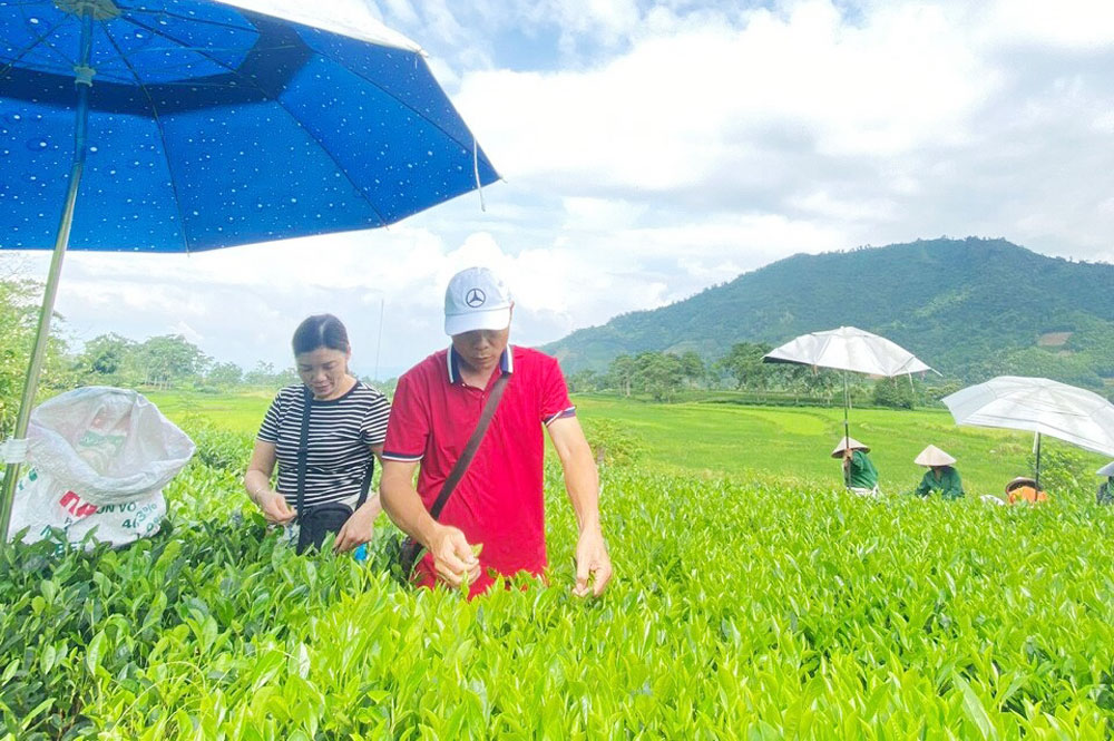 Công nhận Điểm du lịch sinh thái xóm Đồng Khuân ở huyện Đại Từ