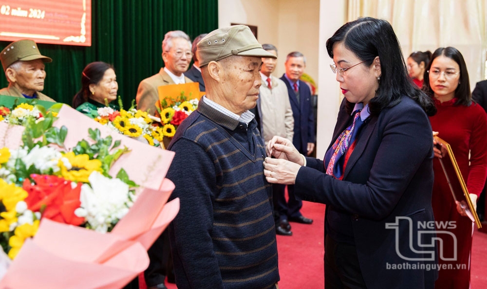 Đồng chí Bí thư Tỉnh ủy trao Huy hiệu Đảng tại thị trấn Hùng Sơn