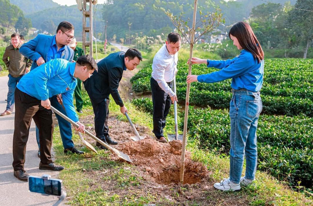 Thành đoàn Thái Nguyên: Hoạt động tình nguyện là mũi nhọn
