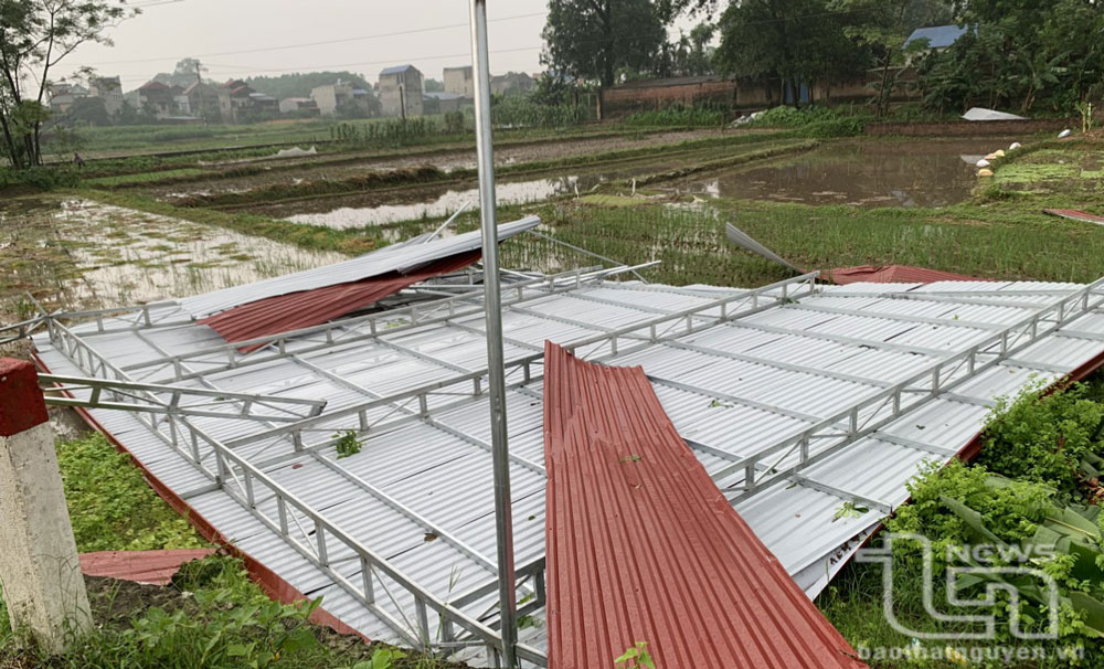 Khắc phục hậu quả mưa lớn tại Phổ Yên và Phú Bình