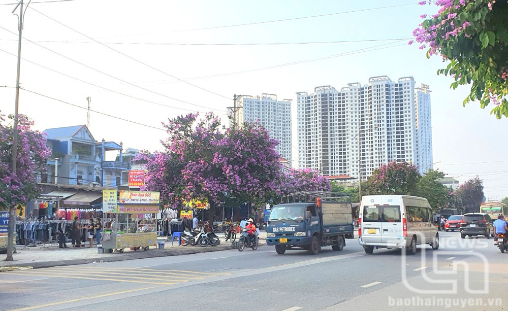 Phấn đấu đến năm 2025 có thêm 20 bãi đỗ xe