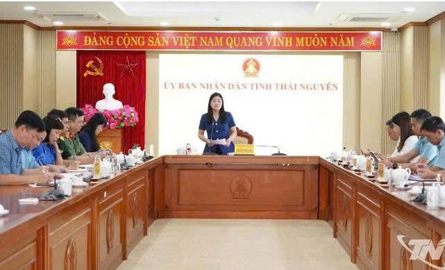 Bảo đảm các hoạt động Festival Trà Quốc tế diễn ra đồng bộ, an toàn và hiệu quả