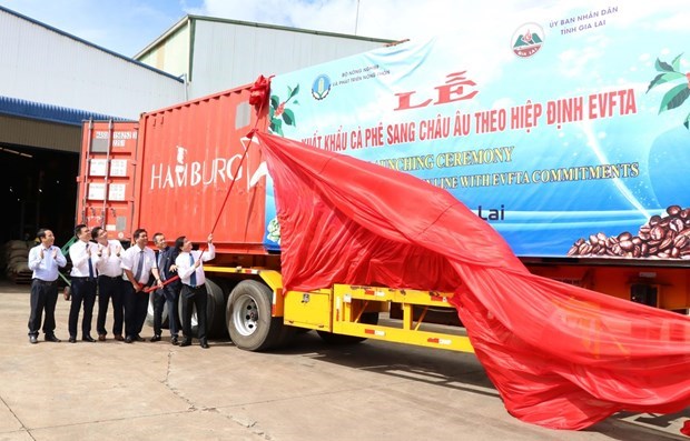 Nắm bắt lợi thế, ngành càphê Việt Nam chinh phục kỷ lục mới