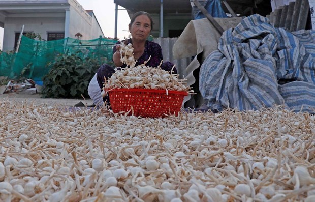 OCOP Nam Trung bộ: Hướng phát triển nội lực và gia tăng giá trị