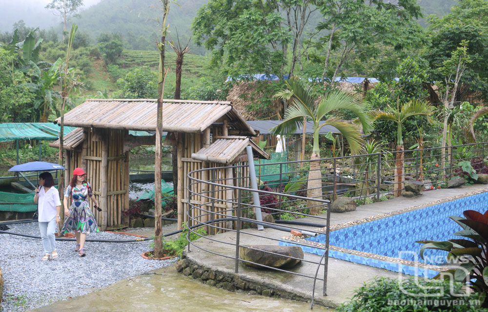 Tạo 
