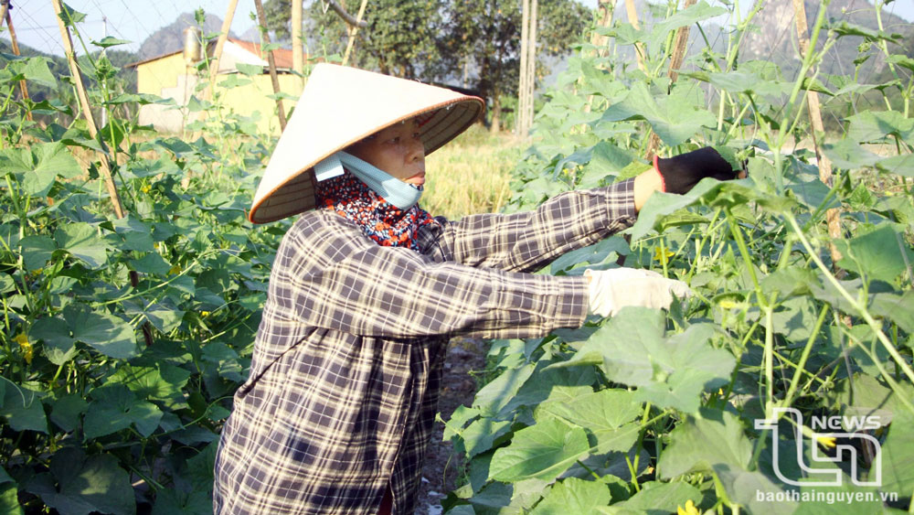 Xây dựng nông thôn mới: Chặng nước rút không dễ dàng - (bài 2) Nỗ lực tăng tốc