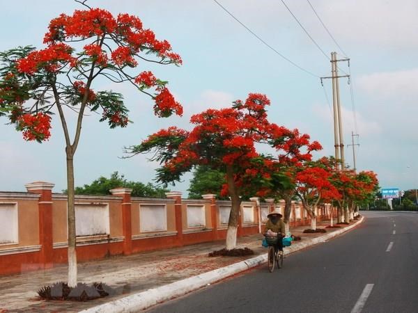 Điều chỉnh cục bộ quy hoạch chung thành phố Hải Phòng