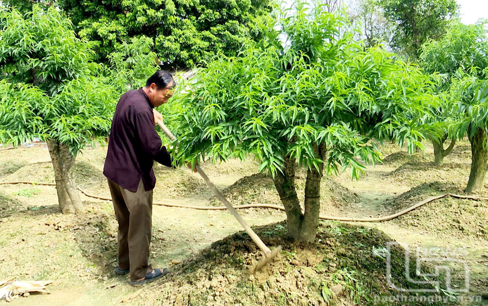 Đoàn kết xây dựng TP. Thái Nguyên phát triển