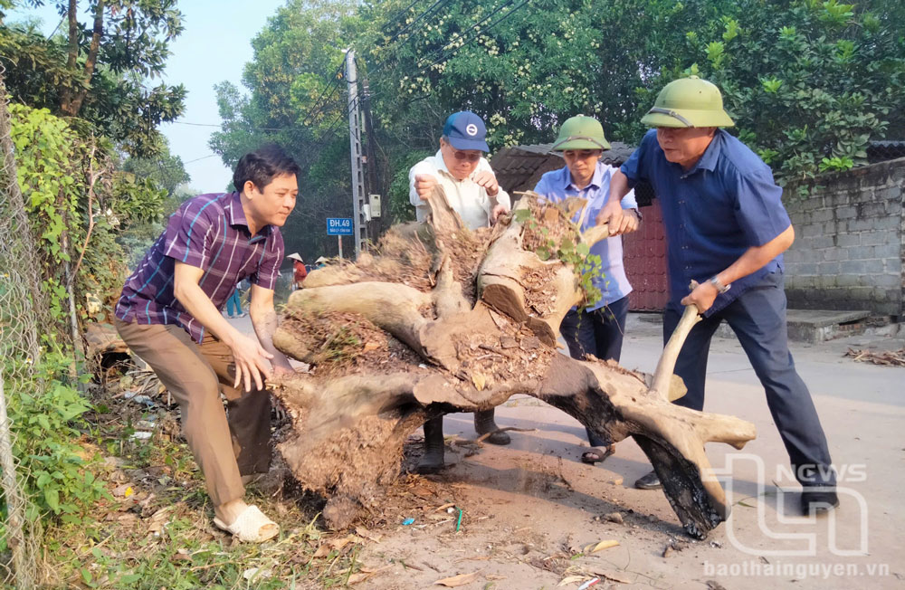 Phú Bình: Duy trì hiệu quả 276 mô hình dân vận khéo