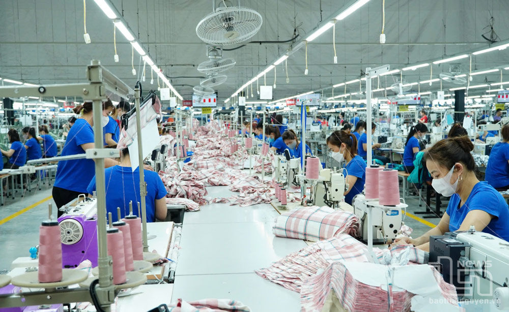 Công ty CP Đầu tư và Thương mại TNG: Lợi nhuận sau thuế tăng 63%