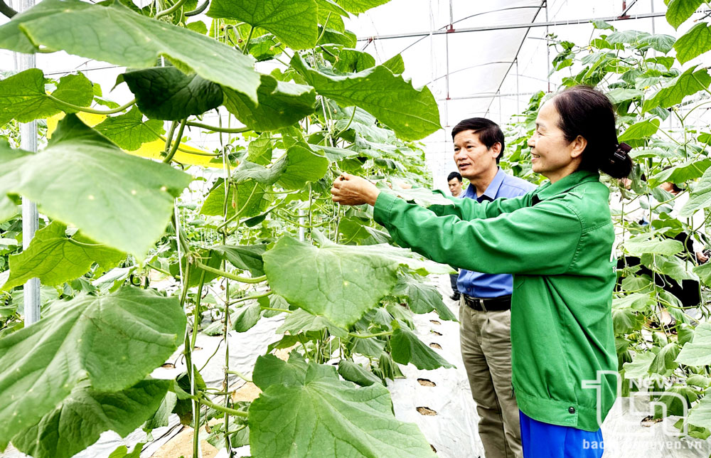 Sản xuất nông nghiệp “sạch”: Bắt đầu từ thay đổi nhận thức