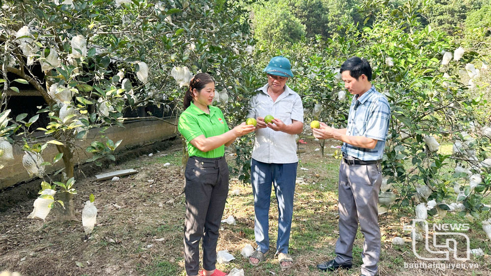 Xây dựng nông thôn mới: Chặng nước rút không dễ dàng - (bài 3) “Đích” đã rất gần, nhưng…