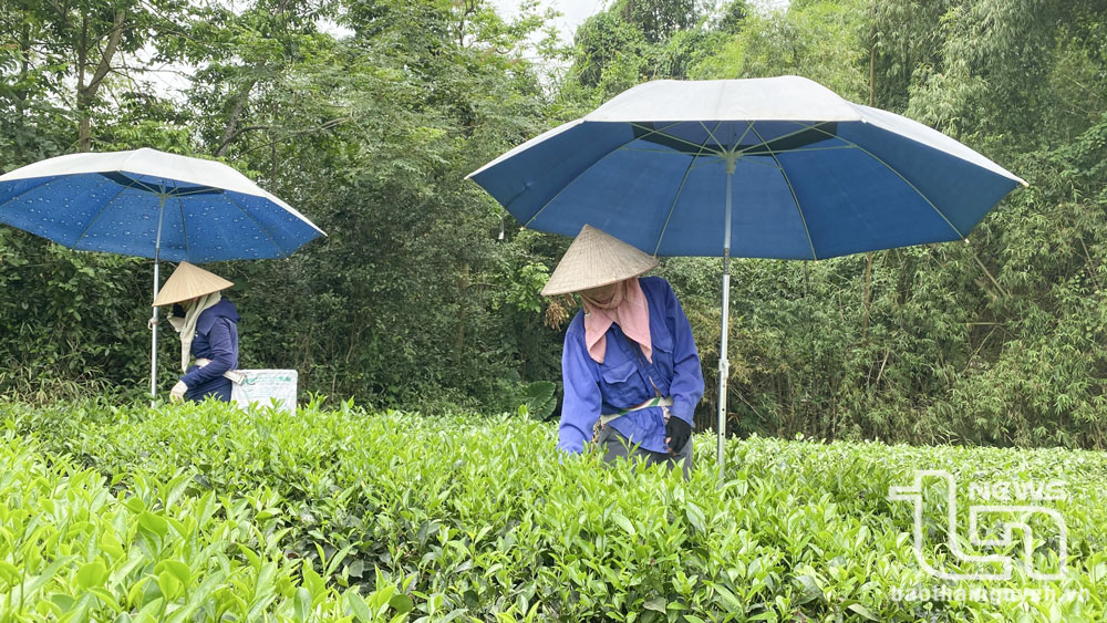 Giải ngân trên 1.100 tỷ đồng cho khách hàng vay vốn