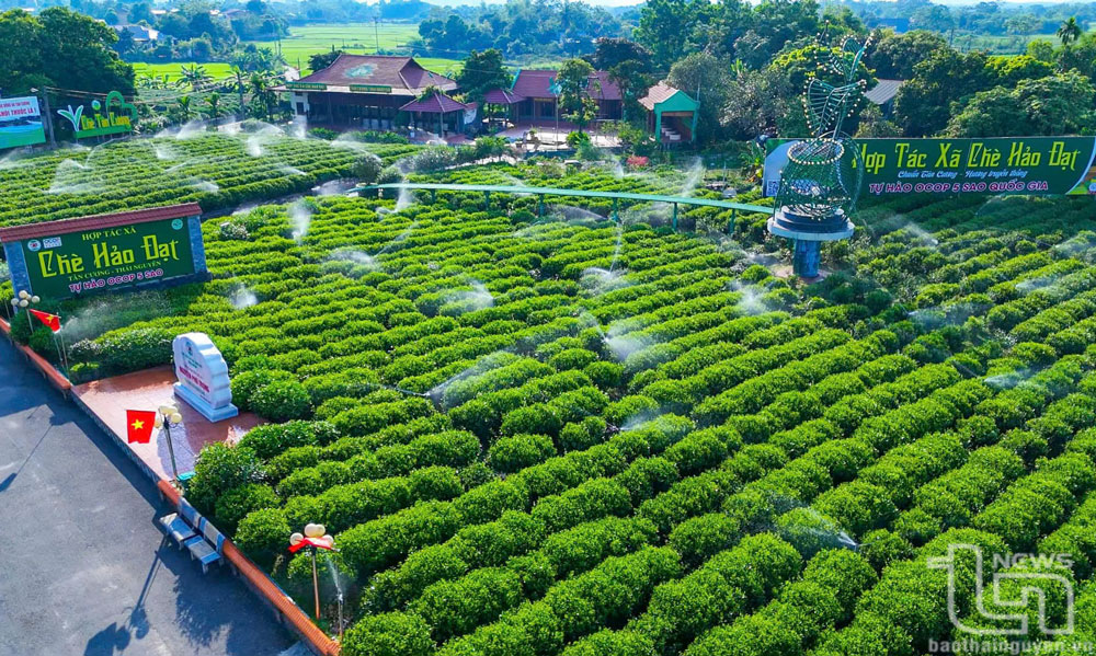 Phát triển sản phẩm OCOP theo hướng bền vững