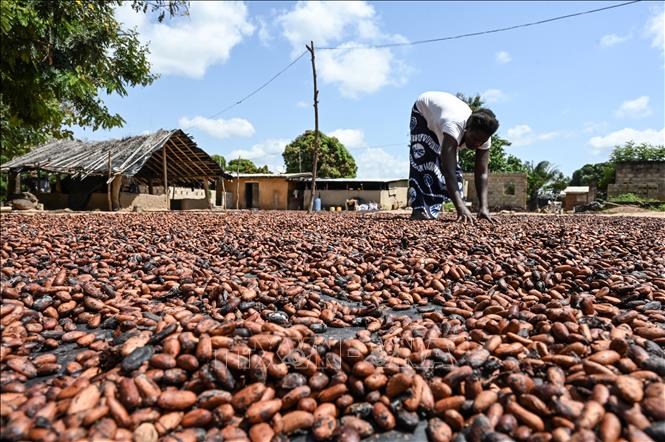 UNCTAD đề nghị Mỹ loại các nước nghèo khỏi danh sách chịu thuế quan mới