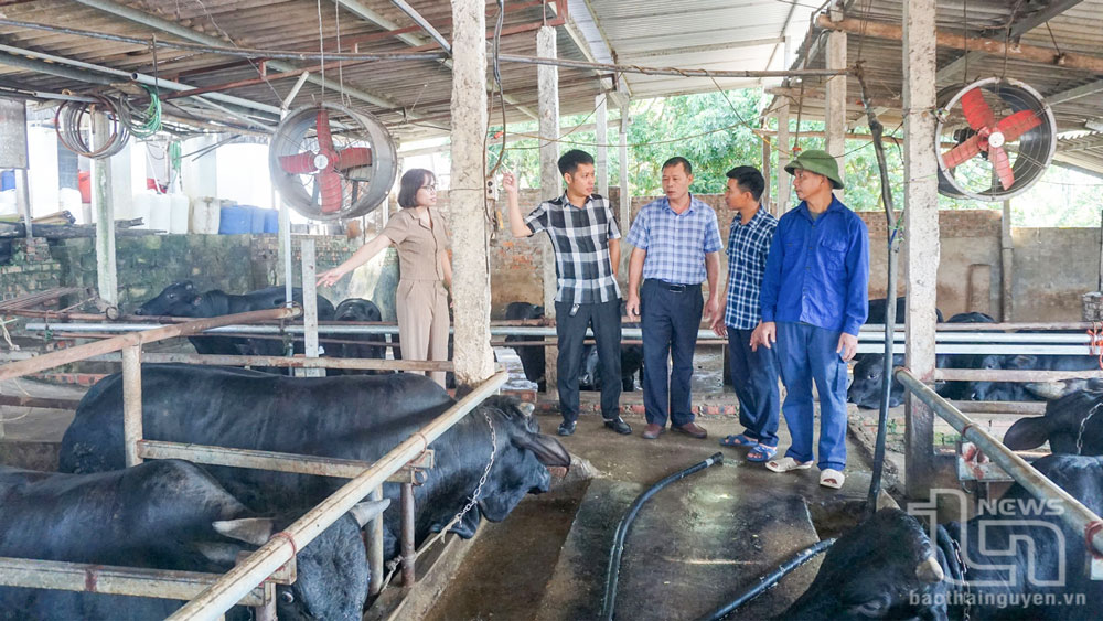 Không chủ quan với dịch bệnh trên đàn vật nuôi