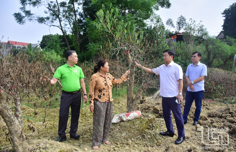 Đồng hành, hỗ trợ nông dân khôi phục sản xuất
