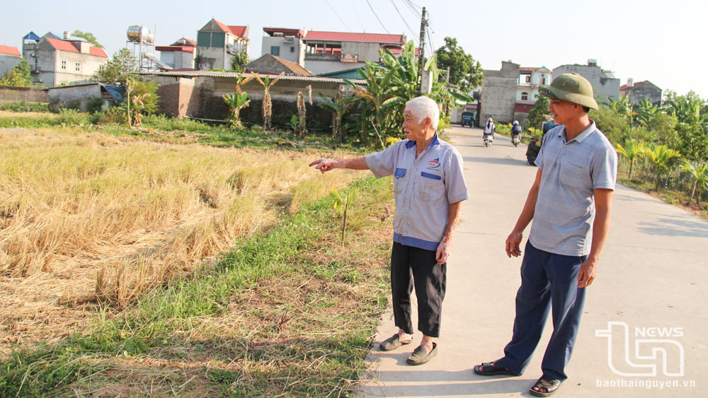 Hộ nghèo hiến đất làm giàu quê hương