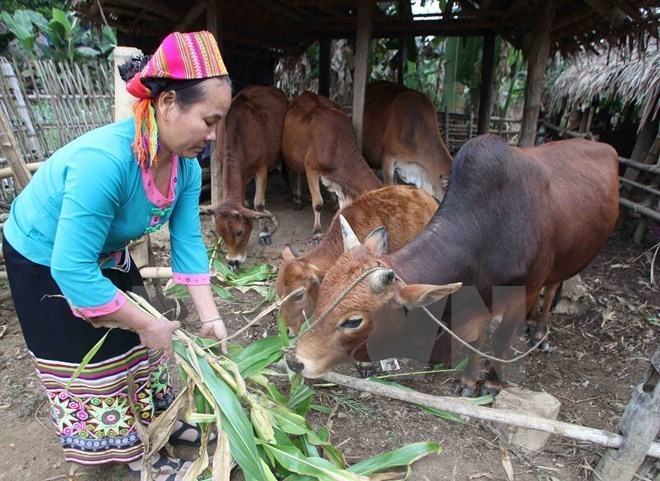 Giảm nghèo giai đoạn 2016-2020: Không tạo tư tưởng trông chờ, ỷ lại