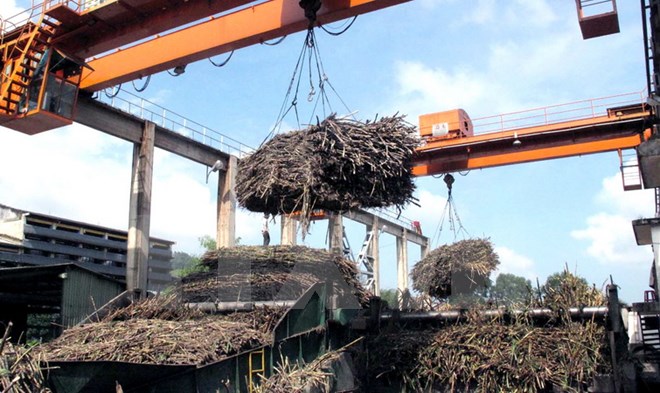 Công bố danh sách 100 doanh nghiệp bền vững tại Việt Nam năm 2017