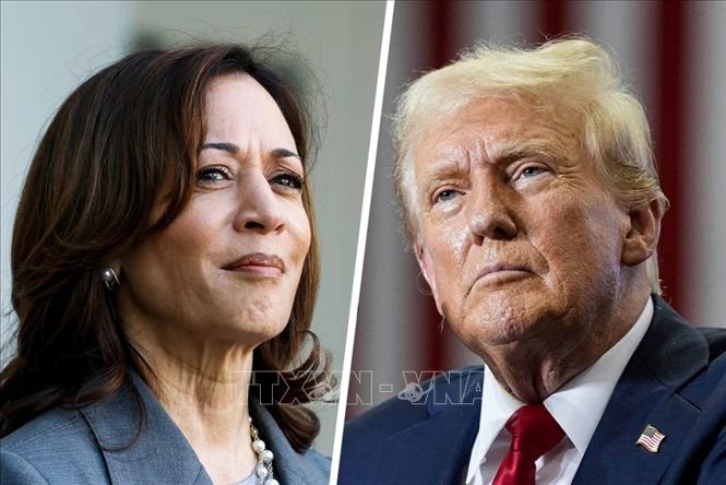 Bầu cử Mỹ 2024: Thăm dò mới cho thấy bà Harris đang vượt lên so với ông Trump 