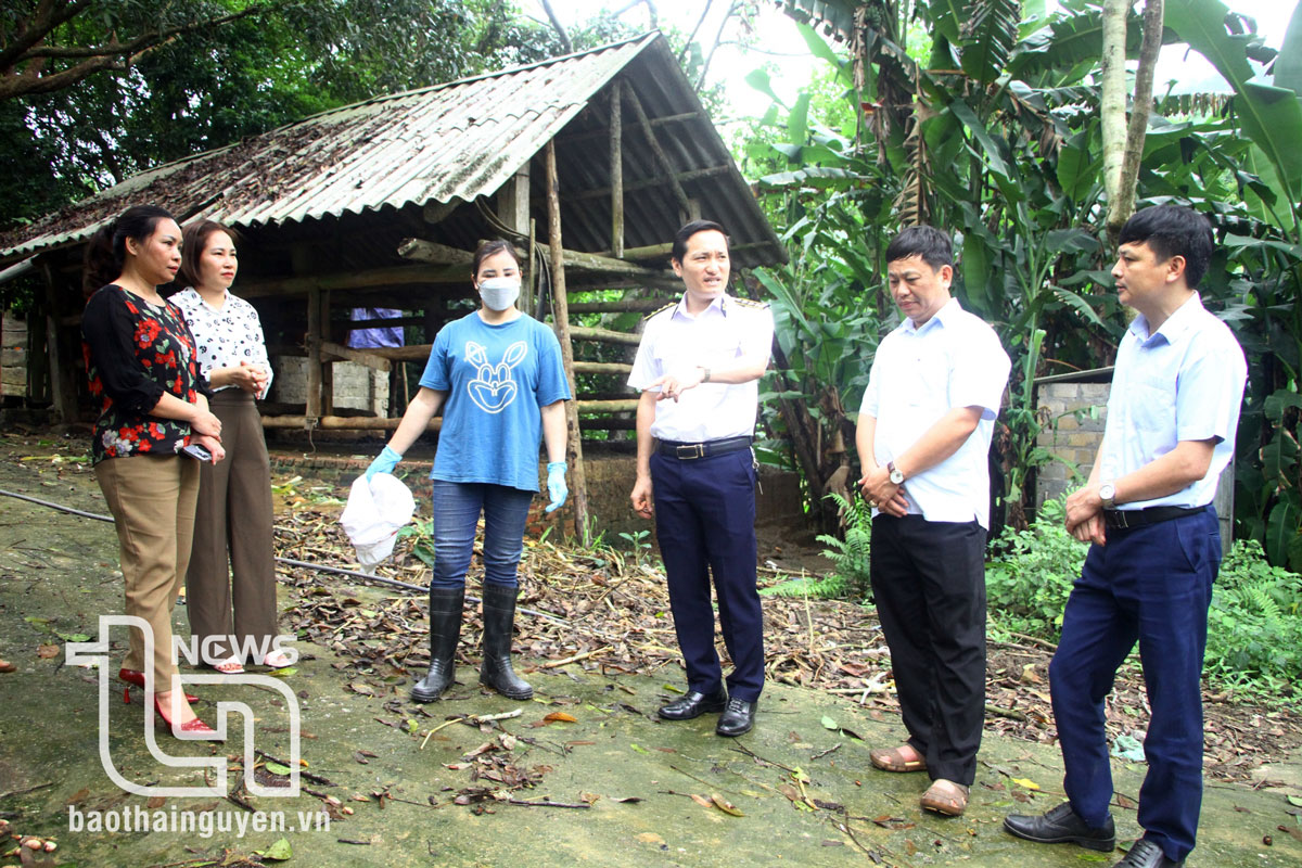 Ngành chăn nuôi ứng phó với dịch bệnh