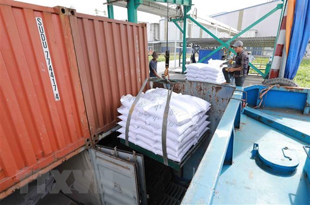 Thị trường nông sản: Giá lúa, gạo trong nước tăng mạnh