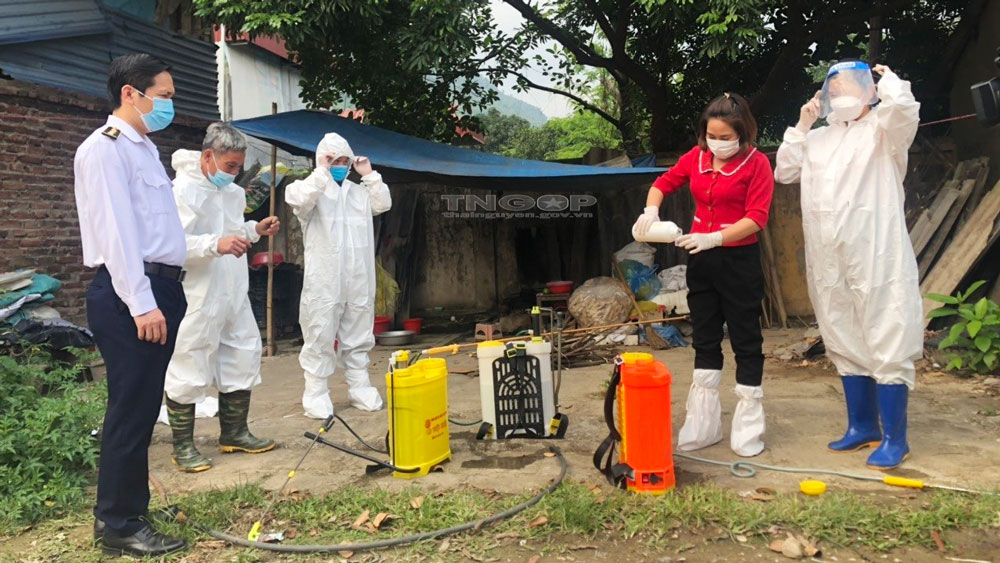 Tăng cường quản lý, kiểm soát giết mổ động vật