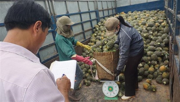 Nghệ An đứng trong nhóm tỉnh, thành phố có GRDP cao nhất cả nước