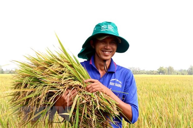 Thúc đẩy tăng trưởng xanh tại Việt Nam: Lộ trình để thành công