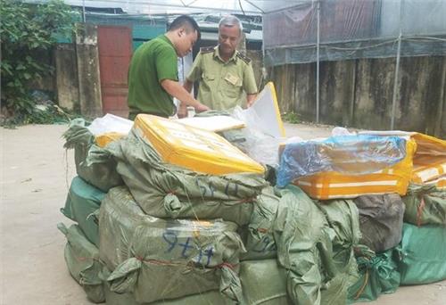 Tạm giữ 1.350 kg nầm lợn không hóa đơn chứng từ trên địa bàn Hà Nội