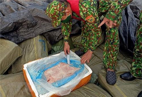 Quảng Ninh: Phát hiện bè mảng chở lậu lượng lớn nội tạng động vật